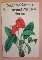 Blumen und Pflanzen fenster