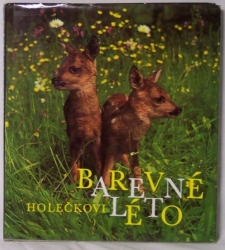 Barevné léto