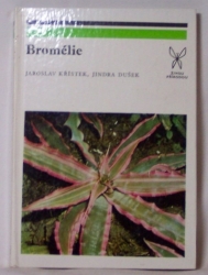 Bromélie
