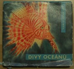 Divy oceánů