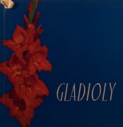 Gladioly