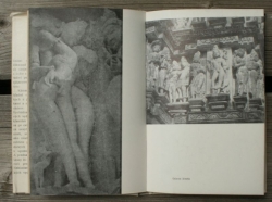 Kámasútra - Kniha staroindickej erotiky