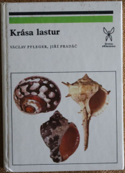 Krása lastur